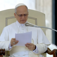 El Papa Len XIV, la parbola del Sembrador