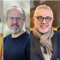El mapa de las candidaturas no testimoniales: 14 intendentes asumirn sus bancas
