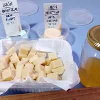 Con un proyecto de reciclado de aceite de cocina, alumnos de Cauelas competirn en una feria regional
