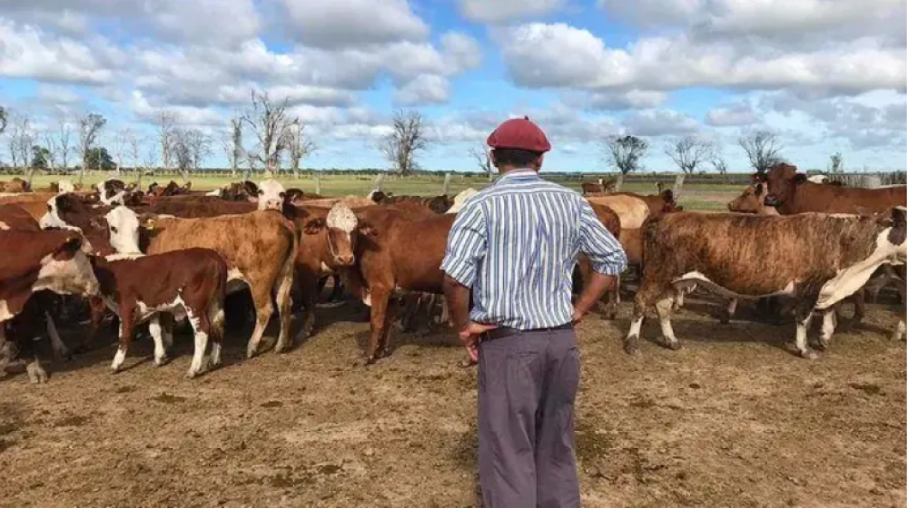 UATRE y Mesa de Enlace acordaron una suba salarial y el sueldo del pen rural alcanzar los $900.000