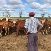 UATRE y Mesa de Enlace acordaron una suba salarial y el sueldo del peón rural alcanzará los $900.000