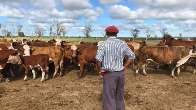 UATRE y Mesa de Enlace acordaron una suba salarial y el sueldo del pen rural alcanzar los $900.000