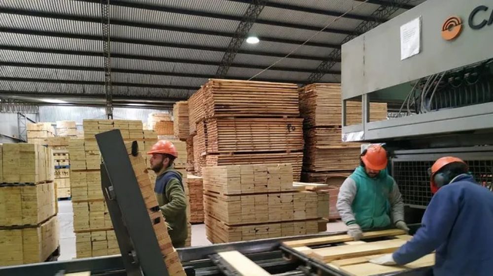Por la suba del dlar, hay industrias que ya aumentaron precios y otras revisan las listas