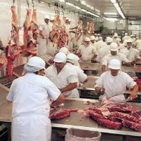 Por el atraso cambiario se dispar ms de 4.000% la importacin de carne vacuna desde Brasil