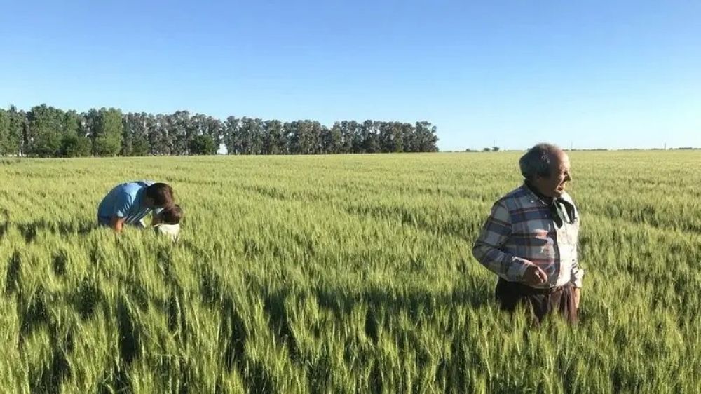 El campo que no entra en la foto: alertan por la asfixia econ�mica de las econom�as regionales