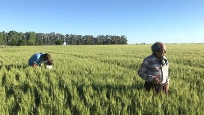 El campo que no entra en la foto: alertan por la asfixia econ�mica de las econom�as regionales