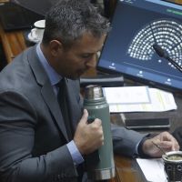 Bronca en la Rosada con Menem por la paliza en el Congreso: 