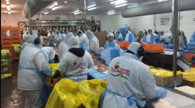 Granja Tres Arroyos, la empresa de El Zar del Pollo, paga los salarios en 4 cuotas y todava adeuda indemnizaciones