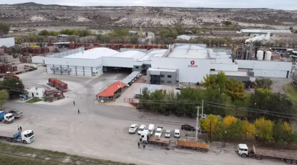 Una firma que es orgullo de Villa Regina y procesa casi 2.000 toneladas de fruta por da