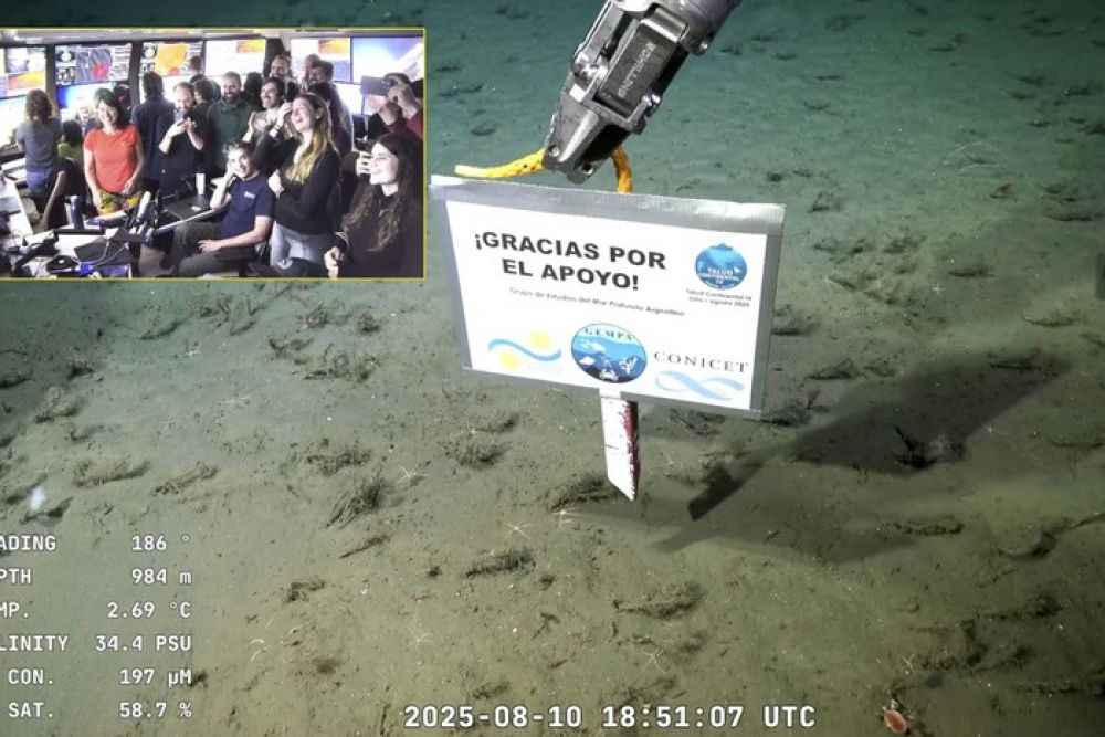 La emocin de los cientficos tras el ltimo streaming submarino