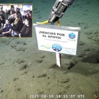 La emocin de los cientficos tras el ltimo streaming submarino