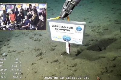 La emocin de los cientficos tras el ltimo streaming submarino
