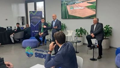 El nico proyecto industrial que entr al RIGI es una acera que quiere competir con importaciones de China