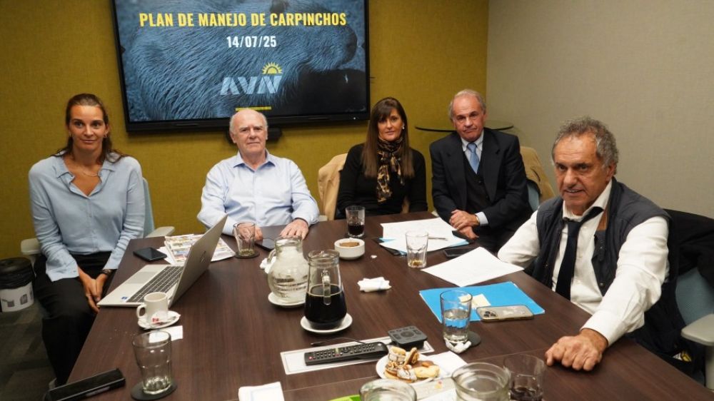 En medio de la crisis del turismo, Scioli se lanza contra los carpinchos y choca con Costantini