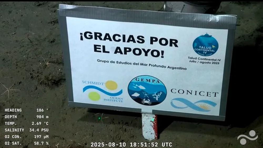 La huella que deja el streaming submarino: Nunca haba visto a un pas reaccionar de esta manera