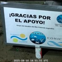 La huella que deja el streaming submarino: Nunca haba visto a un pas reaccionar de esta manera