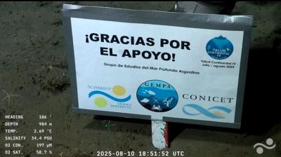 La huella que deja el streaming submarino: Nunca haba visto a un pas reaccionar de esta manera