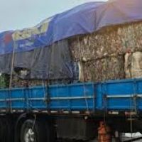 Denuncian que importacin de basura brasilea hundi precios del reciclado