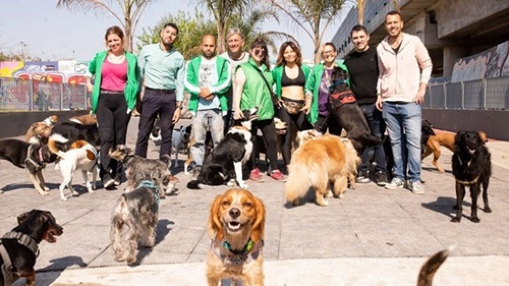 El Sindicato de Trabajadores Caninos impulsa una ley para formalizar a ms de 100.000 trabajadores