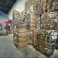 Radiografa de la crisis del reciclaje: cmo los factores econmicos y la competencia extranjera afectan a los cartoneros de Santa Fe