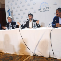 Las provincias de la Patagonia renuevan 9 bancas en el Senado y 12 en Diputados: el rol de los gobernadores