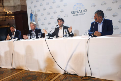 Las provincias de la Patagonia renuevan 9 bancas en el Senado y 12 en Diputados: el rol de los gobernadores