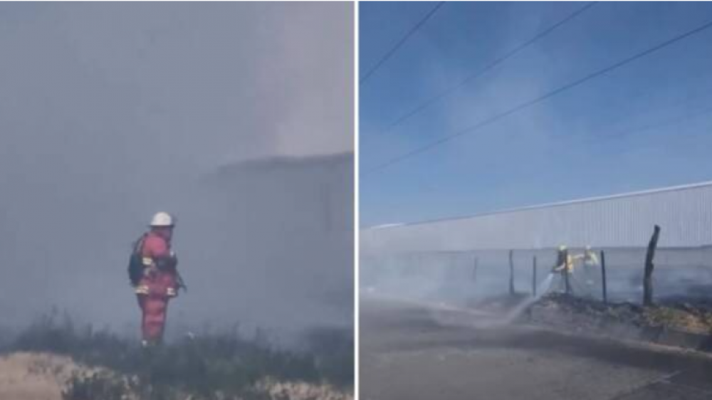 Aguas negras del imperio | Acusan a joven de casi prenderle fuego a la planta de Coca Cola en Salta