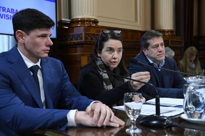 No creo que los nios tengan derecho a venir al Garrahan a ser curados