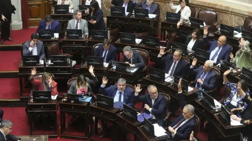 Senado refuerza la confrontacin: convoca a una sesin por la emergencia en el Garrahan y la ley de financiamiento universitario