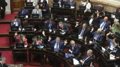 Senado refuerza la confrontacin: convoca a una sesin por la emergencia en el Garrahan y la ley de financiamiento universitario