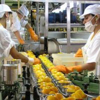 Las empresas de Alimentacin se reunirn en La Rural y le pedirn a Javier Milei otra Reforma Laboral