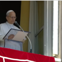 ngelus del Papa: Que la Iglesia sea para todos un taller de humildad