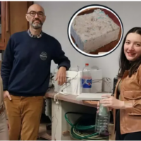 Investigadores de la UNNE desarrollan ladrillos ecolgicos