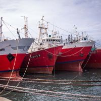 La actividad en la Pesca cay casi 75% interanual y hay ms de 5.000 empleos en riesgo