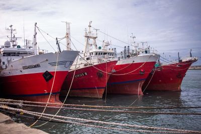 La actividad en la Pesca cay casi 75% interanual y hay ms de 5.000 empleos en riesgo