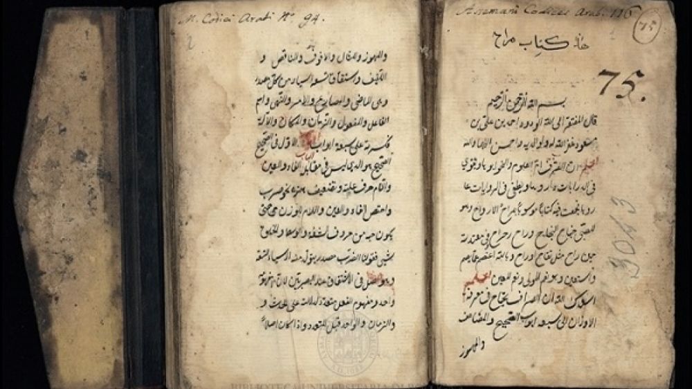 Prestigiosa coleccin de manuscritos Cornicos en la Biblioteca del Vaticano