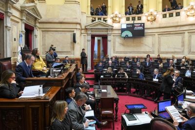 El Senado intentar frenar los vetos de Milei
