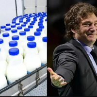 Mala leche: cuatro gigantes lcteos al borde de la quiebra en la peor crisis de la historia del sector