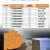 Provincia de Buenos Aires: ocho elecciones simultneas y una batalla clave entre el peronismo y la LLA con proyeccin nacional