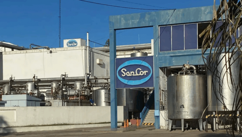 Qu puede pasar con Sancor tras el pedido de quiebra presentado por sus propios trabajadores