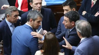 Los malos cierres de listas pueden complicar los vetos de Milei: zoom a la UCR