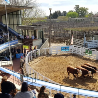 El gobernador Frigerio estar presente en el acto inaugural de la Expo Rural Gualeguaych