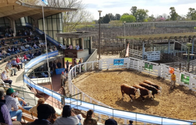 El gobernador Frigerio estar presente en el acto inaugural de la Expo Rural Gualeguaych