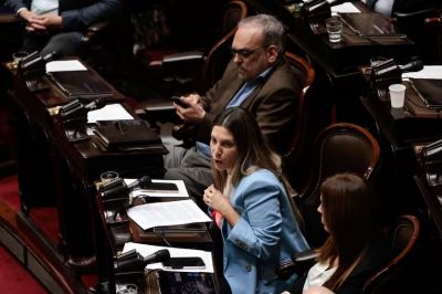 Silvia Lospennato, la rebelde de Pro que enfureci a Cristian Ritondo por su rechazo a los vetos de Milei