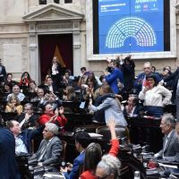 La Cmara de Diputados volte el veto al Garrahan y a las Universidades: cmo se gest una de las ms grandes derrotas del Gobierno