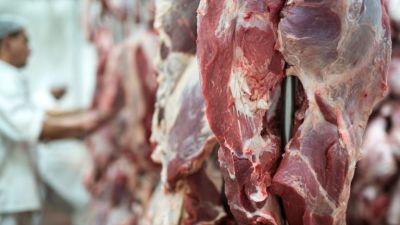 Alberto Fantini, el bajsimo consumo de carne y una drmatica reflexin: Creo que el gobierno ha llegado a un punto final, Dios quiera que termine
