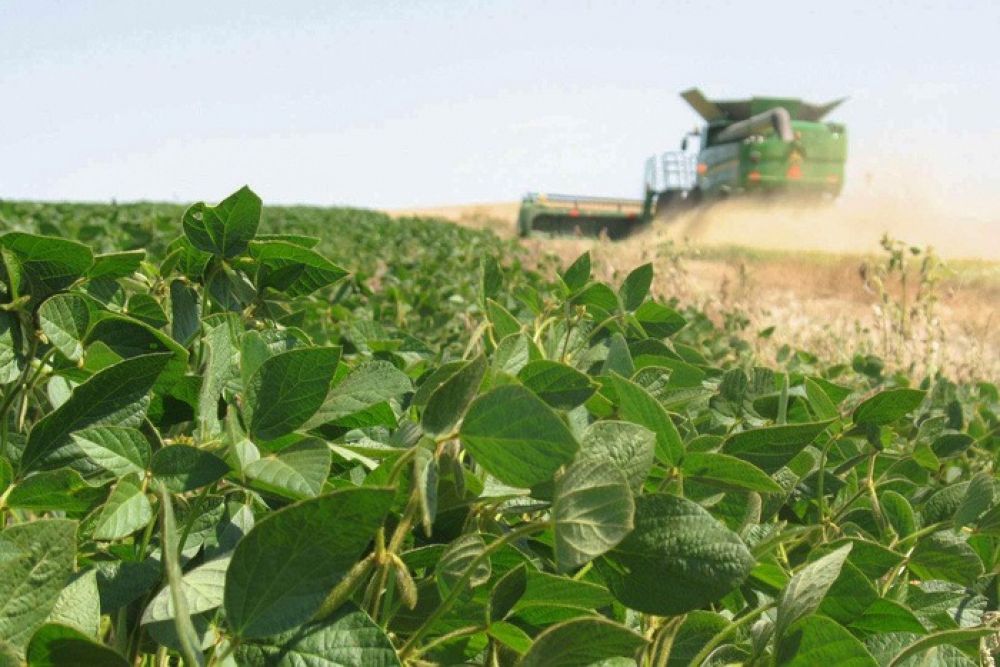 Fin de las retenciones al agro