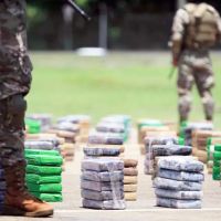 No hay un estallido social porque el narcotrfico gener un negocio alternativo