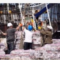 El Decreto 549/25: Una reforma regresiva para la determinacin de incapacidades laborales
