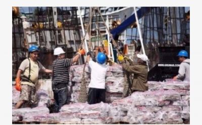 El Decreto 549/25: Una reforma regresiva para la determinacin de incapacidades laborales